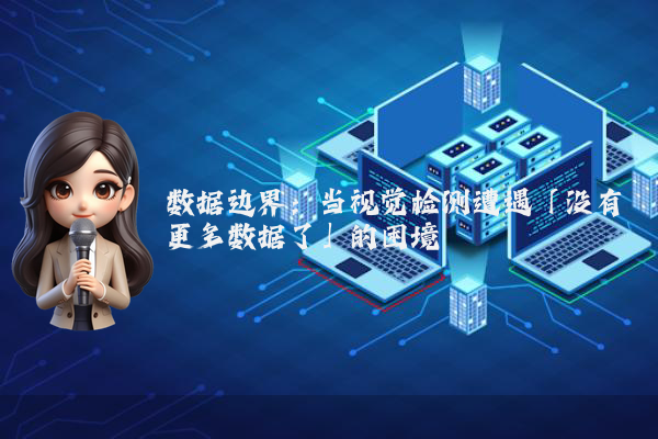 数据边界：当视觉检测遭遇「没有更多数据了」的困境