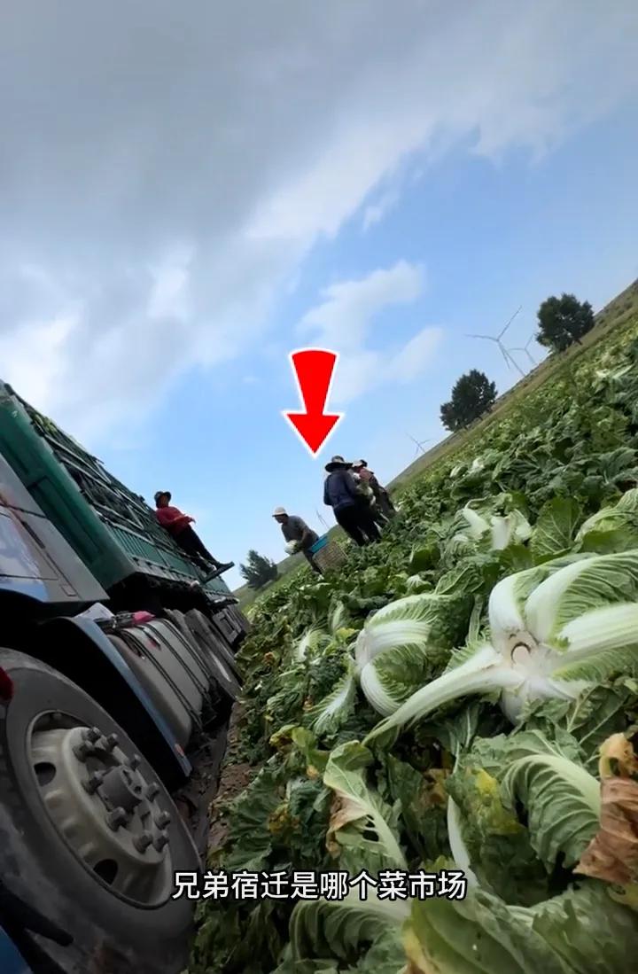 视频截图