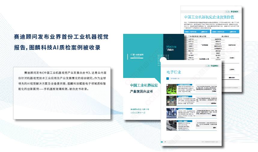 项行业白皮书